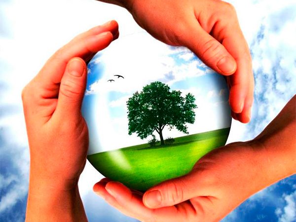 Цифровая трансформация природопользования переводится на «ГосТех» – распоряжение правительства