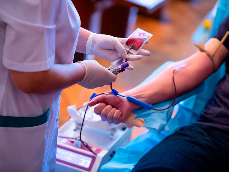 Утверждены правила ведения единой базы данных о донорстве крови