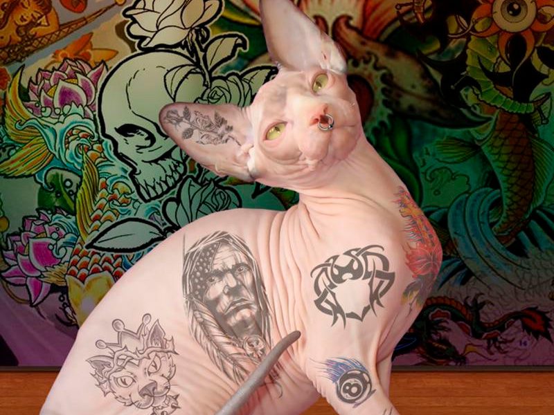 Зампред комитета Госдумы предложил клеймить и татуировать животных на предмет идентификации их владельцев